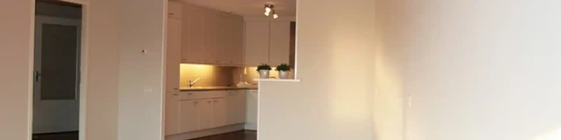 Glasvliesbehang Latex Spuitwerk Appartement Utrecht
